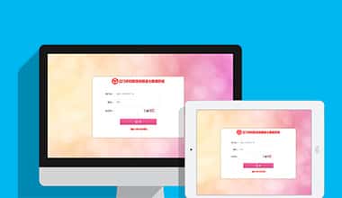 陕西市妇联数据信息三级报送系统