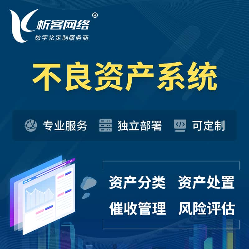 陕西不良资产管理系统