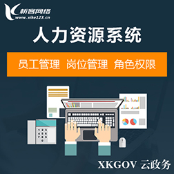 陕西政府网站定制如何实现政务透明化